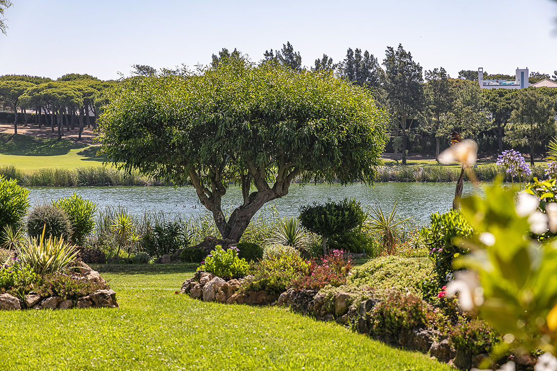 Stunning 1-bedroom apartment in luxury resort to rent