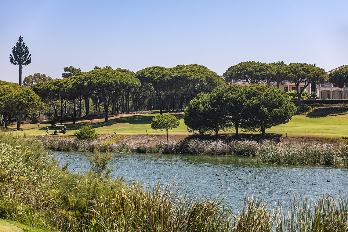 Stunning 1-bedroom apartment in luxury resort to rent