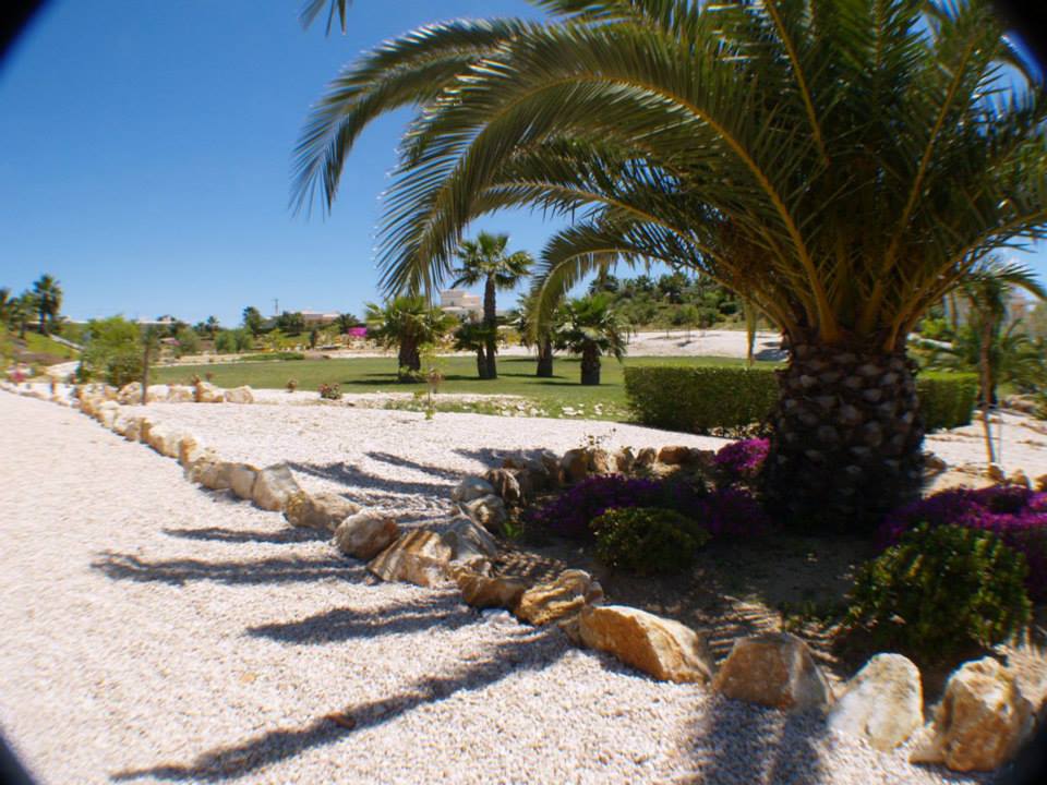 Excellent modern 1-bedroom apartment in Carvoeiro for rent