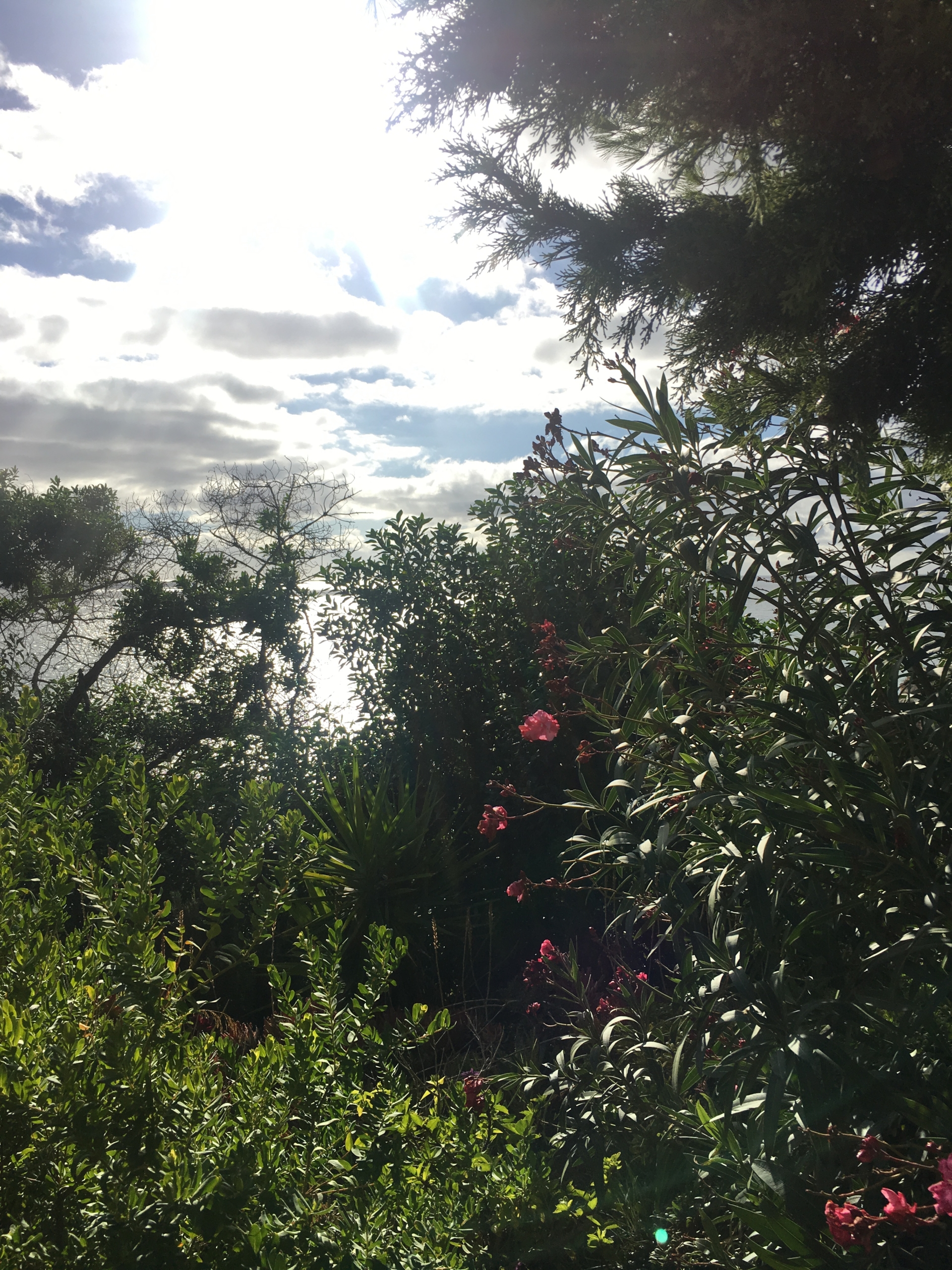 1+1-bedroom cottage in Carvoeiro with stunning views to rent