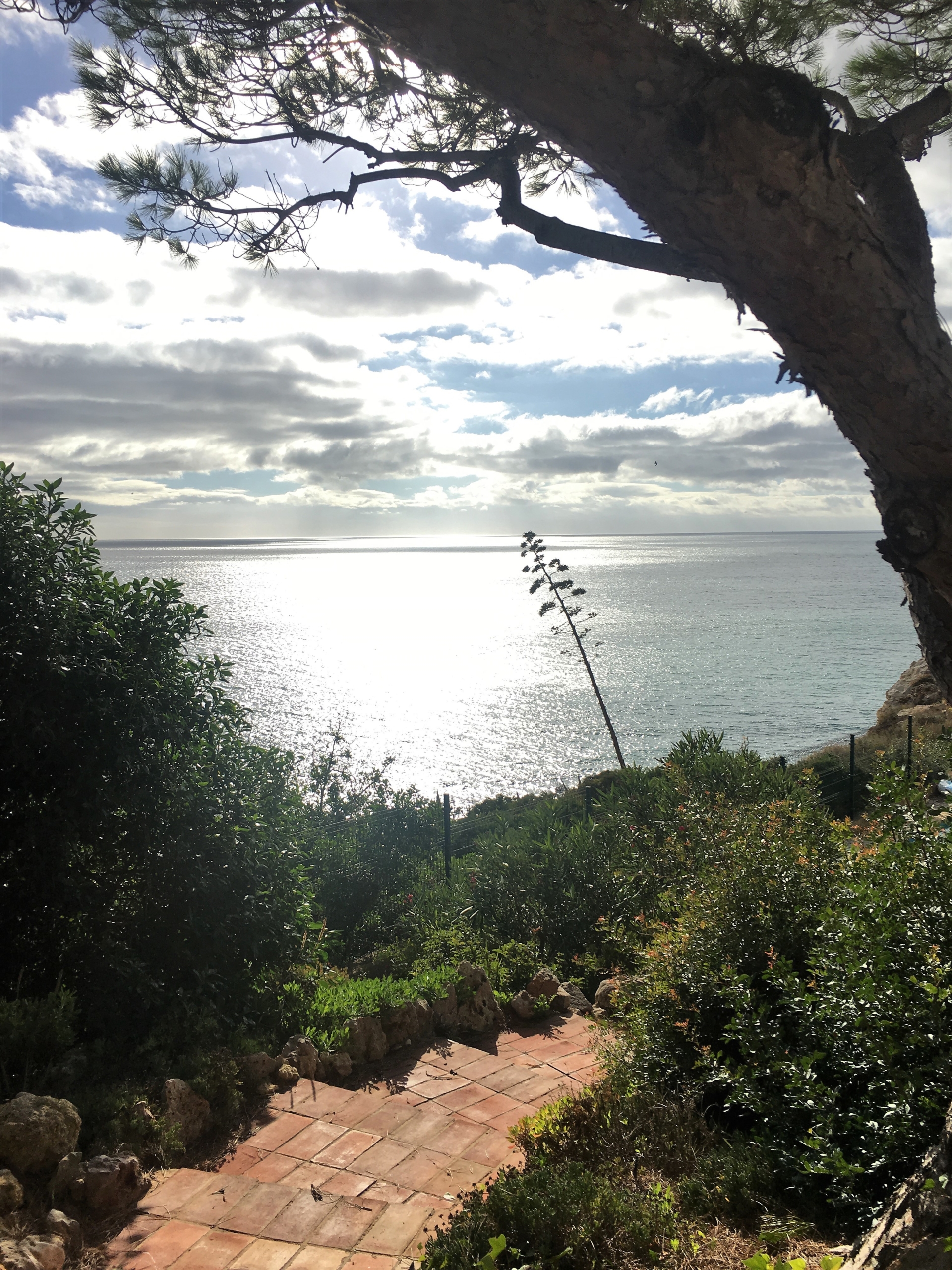 1+1-bedroom cottage in Carvoeiro with stunning views to rent