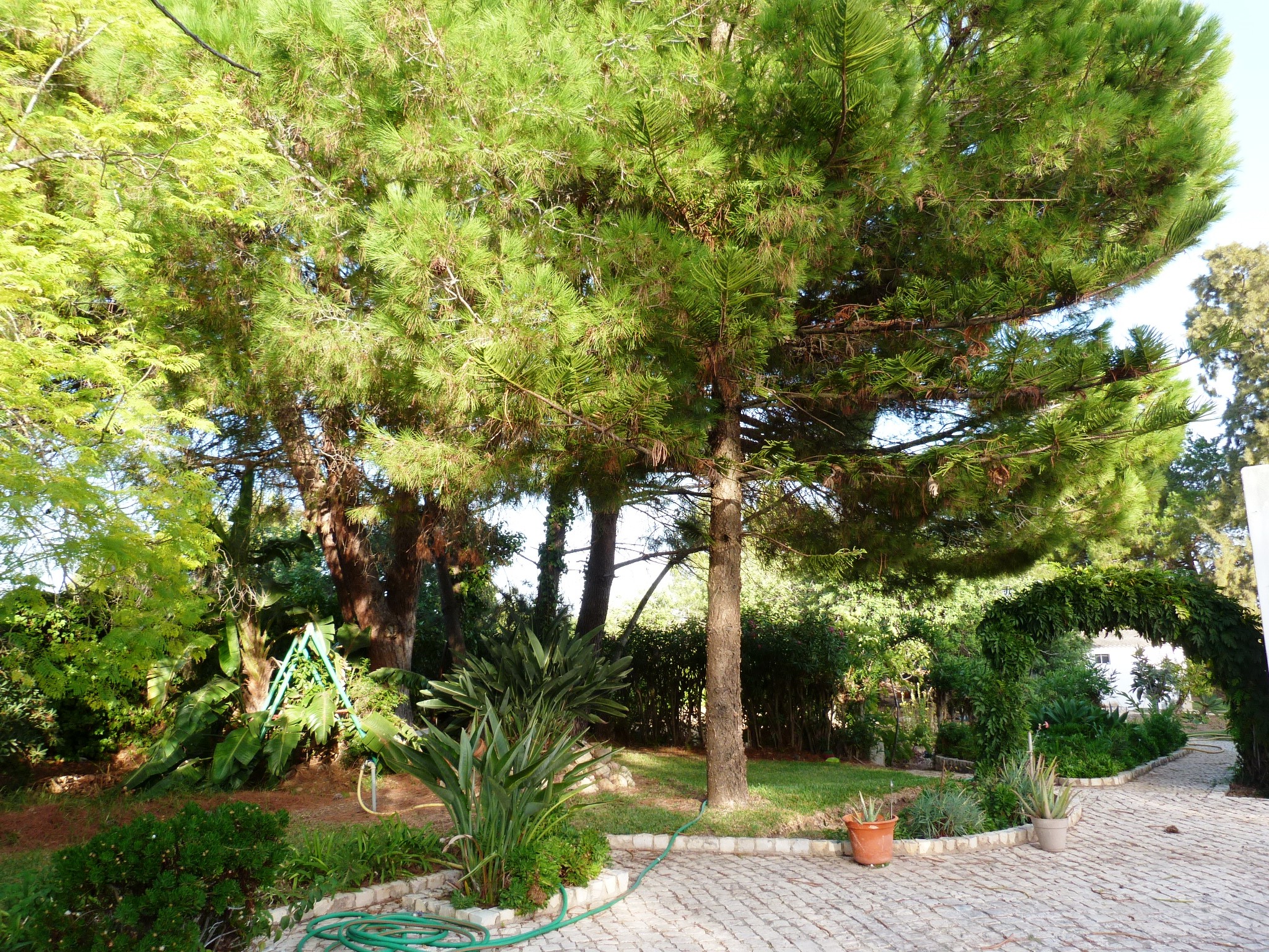 Spacious 5-bedrooms villa located in Alvor for rent