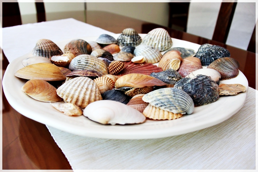 Modern 2-bedroom apartmen in Tavira to rent