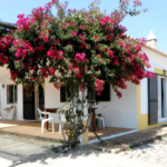 Silves Cottage v2 for rent
